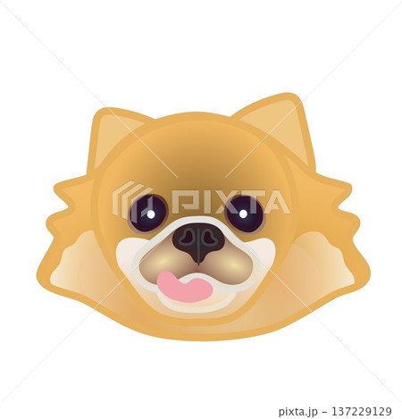 ポメラニアンの顔イラスト ポメラニアンの顔イラスト 137229129