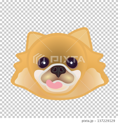 博美犬臉部插圖 博美犬臉部插圖 137229129