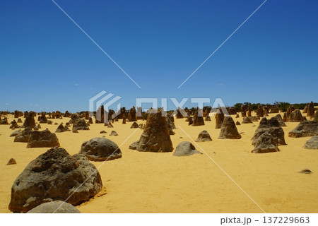 ピナクルズ砂漠の風景　西オーストラリア 137229663