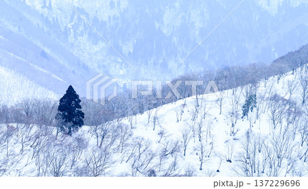 三重県　雪山 137229696