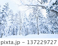 岐阜県 雪山 岐阜県 雪山 137229727