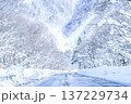 岐阜県 雪山 岐阜県 雪山 137229734