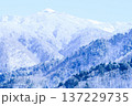 岐阜県 雪山 岐阜県 雪山 137229735