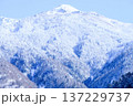 岐阜県 雪山 岐阜県 雪山 137229737