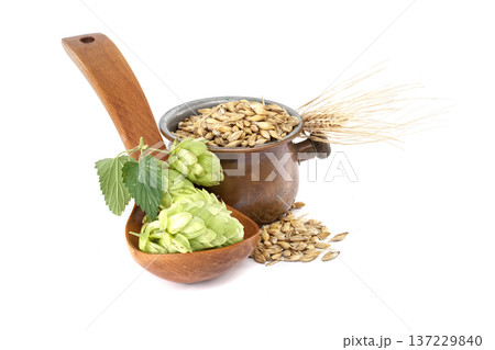 Beer ingredients still life isolated on white background 137229840