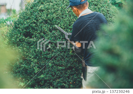 Japanese Gardener 137230246