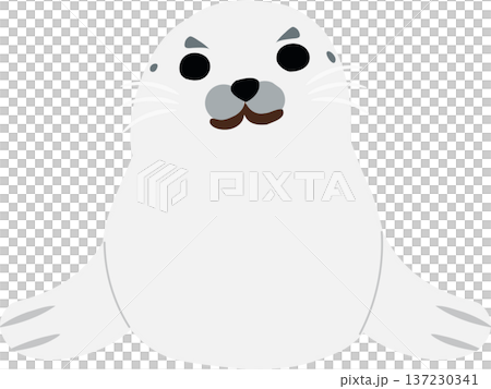 Cute gray baby seal pup. Cute baby seal . Baby seal cartoon 137230341