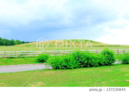 北海道紀行 8月の大雪森のガーデン 北海道ガーデン 北海道紀行 8月の大雪森のガーデン 北海道ガーデン 137230645