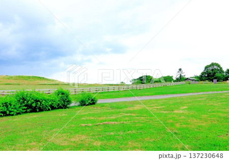 北海道紀行　　　8月の大雪森のガーデン　　　北海道ガーデン 137230648