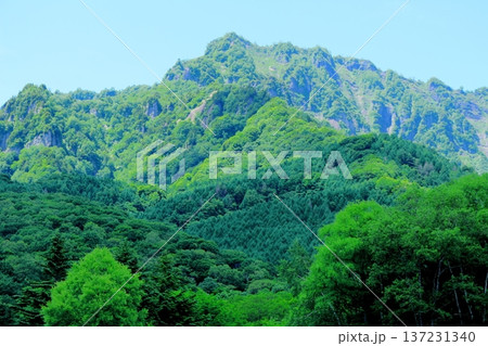6月の戸隠の鏡ヶ池 信州の自然 信州の風景 6月の戸隠の鏡ヶ池 信州の自然 信州の風景 137231340