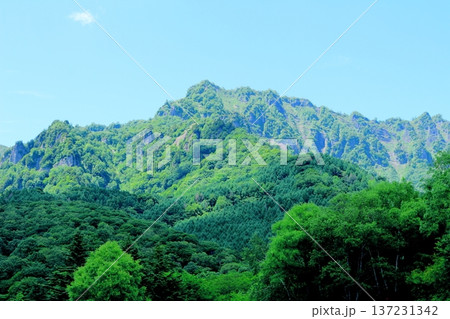 6月の戸隠の鏡ヶ池　　　信州の自然　　　信州の風景 137231342