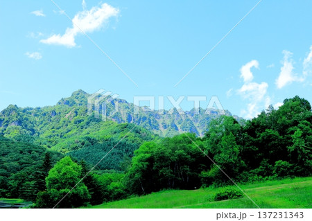 6月の戸隠の鏡ヶ池 信州の自然 信州の風景 6月の戸隠の鏡ヶ池 信州の自然 信州の風景 137231343