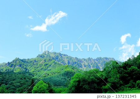 6月の戸隠の鏡ヶ池 信州の自然 信州の風景 6月の戸隠の鏡ヶ池 信州の自然 信州の風景 137231345