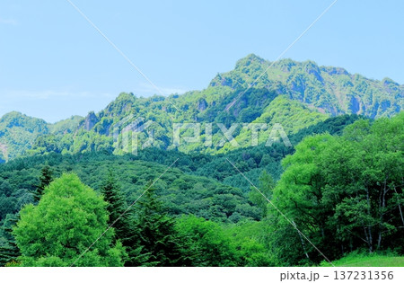 6月の戸隠の鏡ヶ池 信州の自然 信州の風景 6月の戸隠の鏡ヶ池 信州の自然 信州の風景 137231356