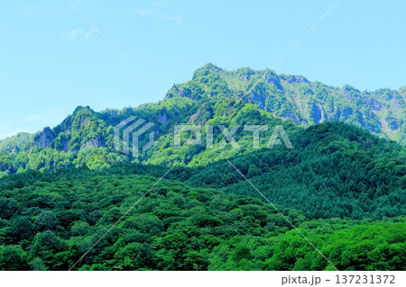 6月の戸隠の鏡ヶ池　　　信州の自然　　　信州の風景 137231372