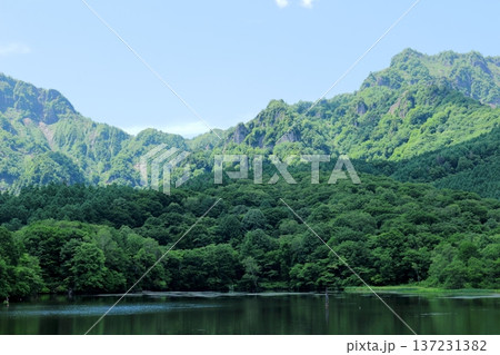 6月の戸隠の鏡ヶ池 信州の自然 信州の風景 6月の戸隠の鏡ヶ池 信州の自然 信州の風景 137231382