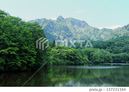 6月の戸隠の鏡ヶ池 信州の自然 信州の風景 6月の戸隠の鏡ヶ池 信州の自然 信州の風景 137231384