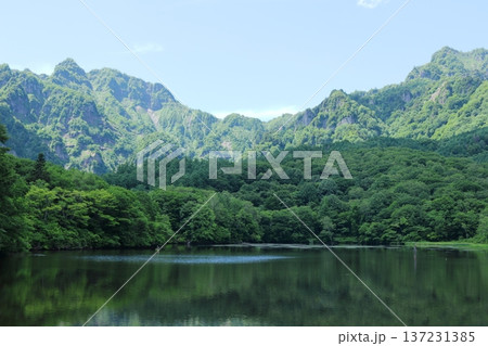 6月の戸隠の鏡ヶ池　　　信州の自然　　　信州の風景 137231385
