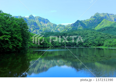 6月の戸隠の鏡ヶ池 信州の自然 信州の風景 6月の戸隠の鏡ヶ池 信州の自然 信州の風景 137231390