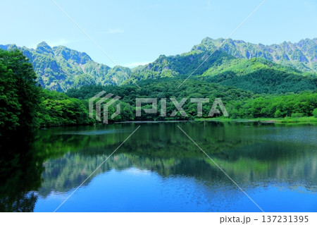 6月の戸隠の鏡ヶ池 信州の自然 信州の風景 6月の戸隠の鏡ヶ池 信州の自然 信州の風景 137231395