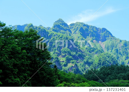 6月の戸隠の鏡ヶ池 信州の自然 信州の風景 6月の戸隠の鏡ヶ池 信州の自然 信州の風景 137231401