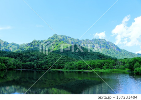 6月の戸隠の鏡ヶ池　　　信州の自然　　　信州の風景 137231404