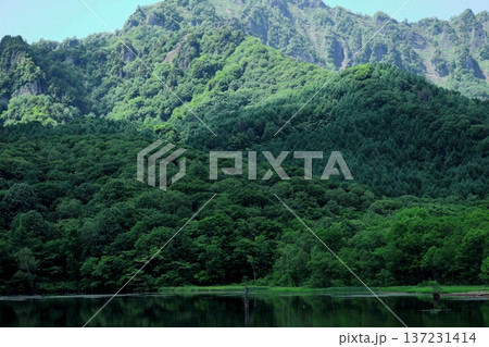 6月の戸隠の鏡ヶ池 信州の自然 信州の風景 6月の戸隠の鏡ヶ池 信州の自然 信州の風景 137231414