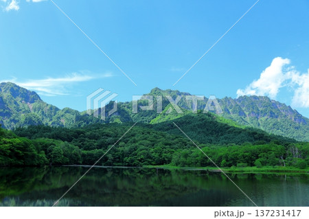 6月の戸隠の鏡ヶ池　　　信州の自然　　　信州の風景 137231417