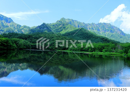 6月の戸隠の鏡ヶ池 信州の自然 信州の風景 6月の戸隠の鏡ヶ池 信州の自然 信州の風景 137231420