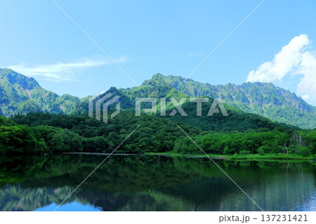 6月の戸隠の鏡ヶ池 信州の自然 信州の風景 6月の戸隠の鏡ヶ池 信州の自然 信州の風景 137231421