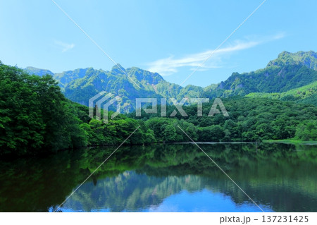 6月の戸隠の鏡ヶ池　　　信州の自然　　　信州の風景 137231425