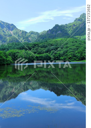 6月の戸隠の鏡ヶ池　　　信州の自然　　　信州の風景 137231682