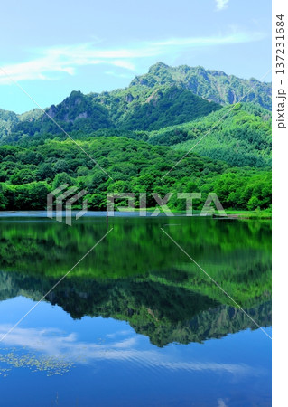 6月の戸隠の鏡ヶ池 信州の自然 信州の風景 6月の戸隠の鏡ヶ池 信州の自然 信州の風景 137231684