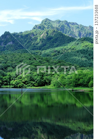 6月の戸隠の鏡ヶ池　　　信州の自然　　　信州の風景 137231688