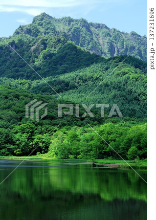 6月の戸隠の鏡ヶ池 信州の自然 信州の風景 6月の戸隠の鏡ヶ池 信州の自然 信州の風景 137231696