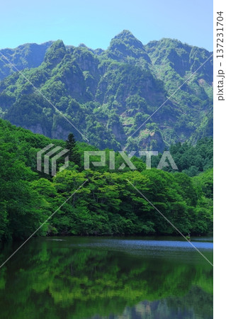 6月の戸隠の鏡ヶ池　　　信州の自然　　　信州の風景 137231704