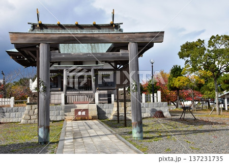 三重県桑名市　住吉神社鳥居と社殿 137231735