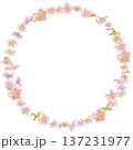 河津桜の水彩イラストリース 河津桜の水彩イラストリース 137231977