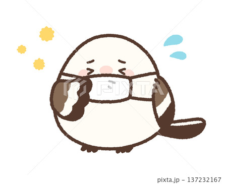 花粉症でくしゃみをするマスク姿のシマエナガ 花粉症でくしゃみをするマスク姿のシマエナガ 137232167