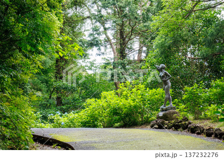 紫陽花が満開の下田公園あじさい祭り。静岡県下田市-2025 伊豆半島最南端 137232276