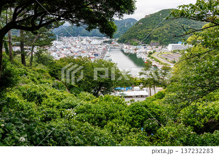 紫陽花が満開の下田公園あじさい祭り。静岡県下田市-2025 伊豆半島最南端 137232283