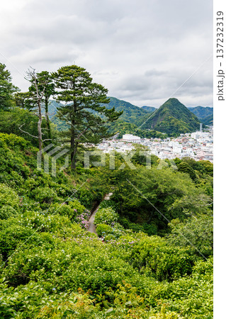 紫陽花が満開の下田公園あじさい祭り。静岡県下田市-2025 伊豆半島最南端 137232319