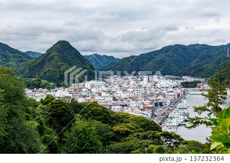 紫陽花が満開の下田公園あじさい祭り。静岡県下田市-2025 伊豆半島最南端 137232364