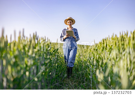 A woman wearing overalls and a hat walks through a field of wheat while holding a tablet computer 137232703