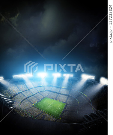 The stadium The stadium 137232824
