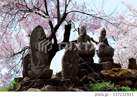 桜の下の石像 夫婦石像 信州の風景 桜の下の石像 夫婦石像 信州の風景 137232933