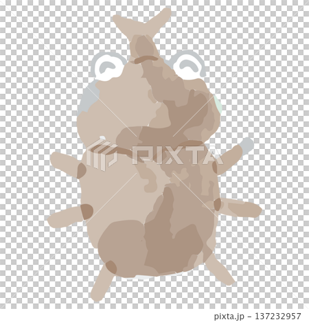 八月幼稚園水彩插畫系列 | 微笑犀牛甲蟲 137232957