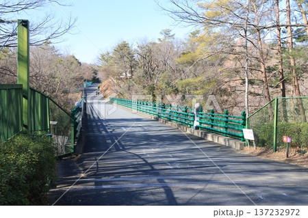 埼玉県東松山市のこども動物自然公園の風景 137232972