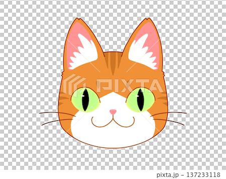 Brown and white cat facing forward 1/4 Brown and white cat facing forward 1/4 137233118