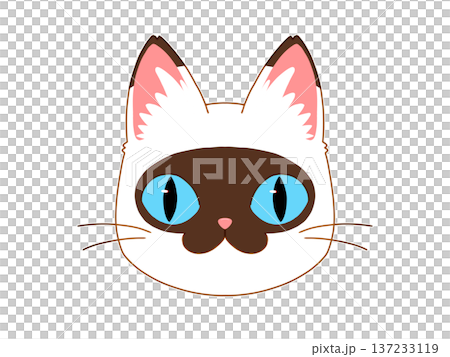 Brown and white cat facing forward 2/4 Brown and white cat facing forward 2/4 137233119
